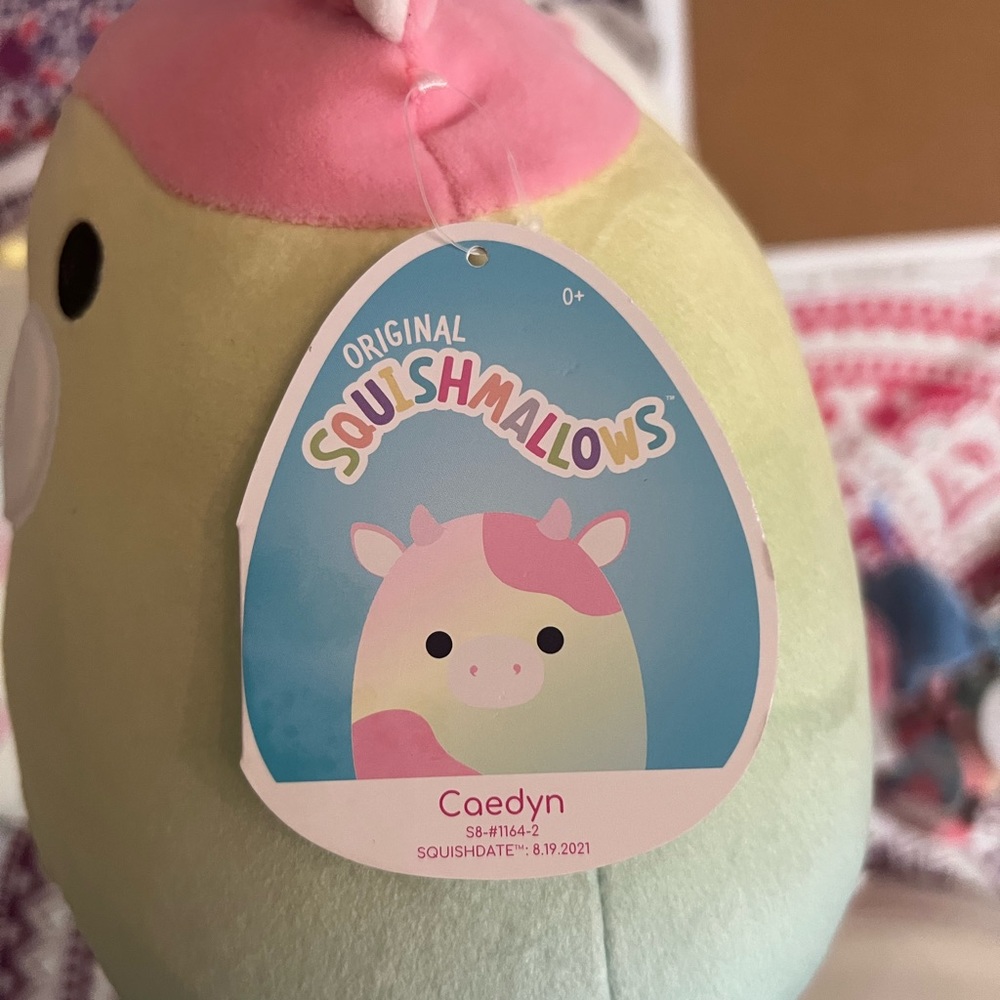 Spring Cayden squishmallow - Picture 3 of 6